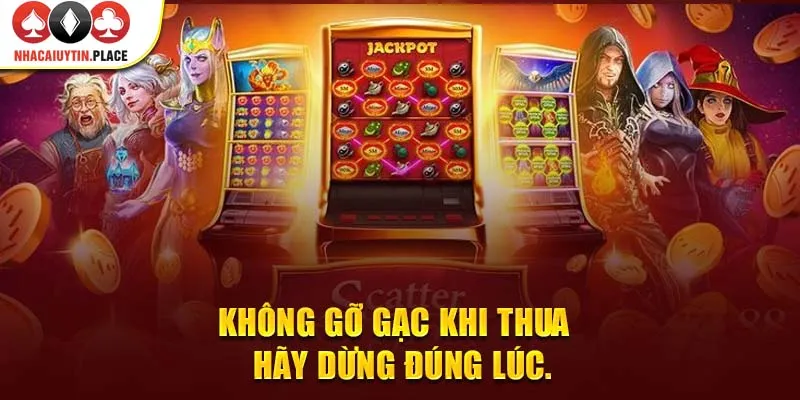 Không gỡ gạc khi thua – hãy dừng đúng lúc.